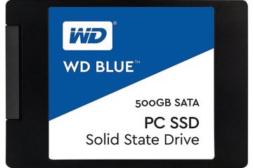 WD Blue PC SSD